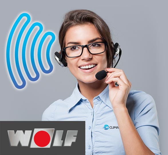 Servicio técnico urgente Wolf en MAdrid